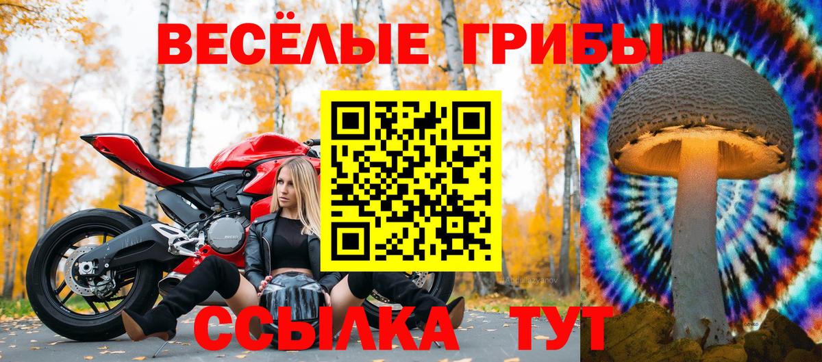 Псилоцибиновые грибы прущие грибы Корсаков