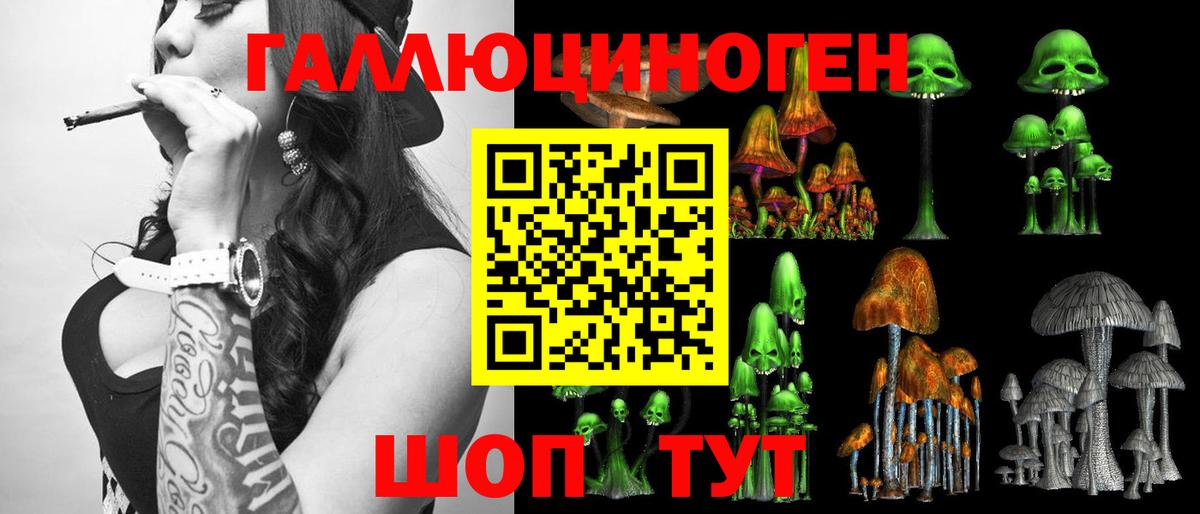 Псилоцибиновые грибы Psilocybe  Вход с VPN  Корсаков 